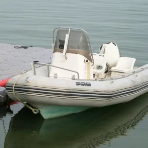 Zodiac Pro 5.5 2002